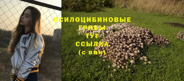 прущий лед Алексеевка