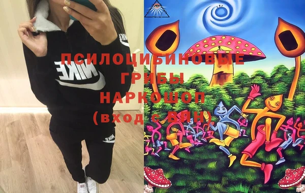 PSILOCYBIN Абинск