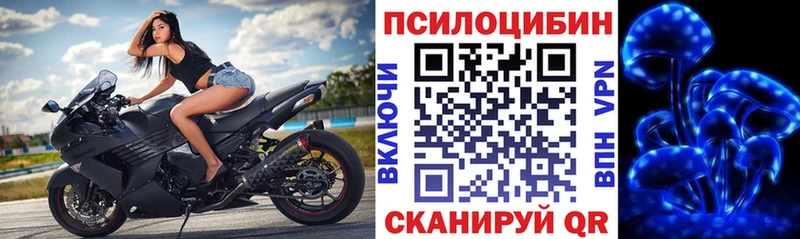 Псилоцибиновые грибы прущие грибы Кимовск